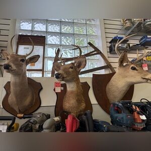 Rustic Brown Deer Head Wall Decor